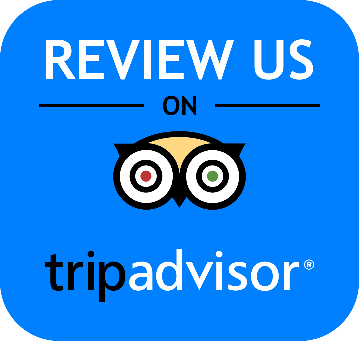 Review us on Trip Advisor